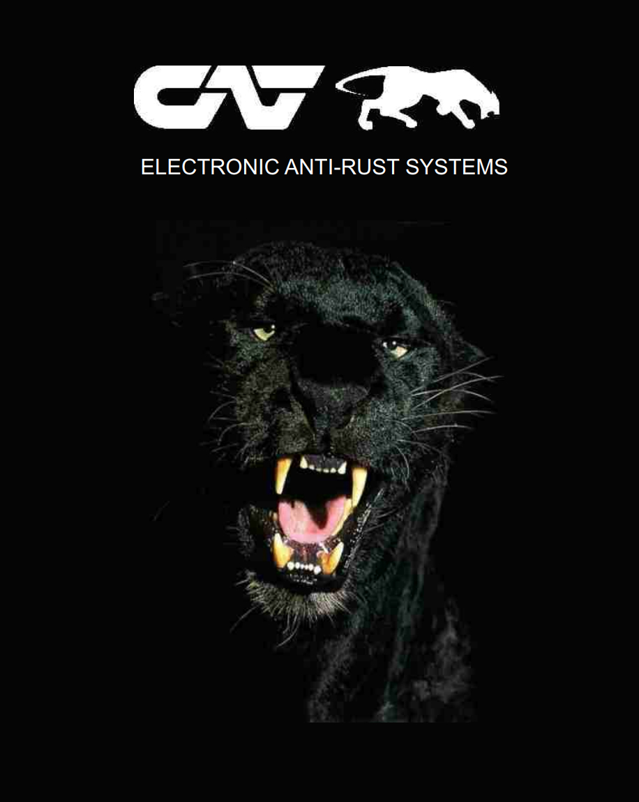 CAT electronic rust protection Professional Car Detailing